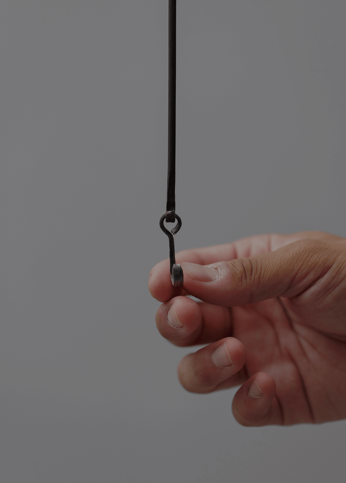 Wall hook ceiling