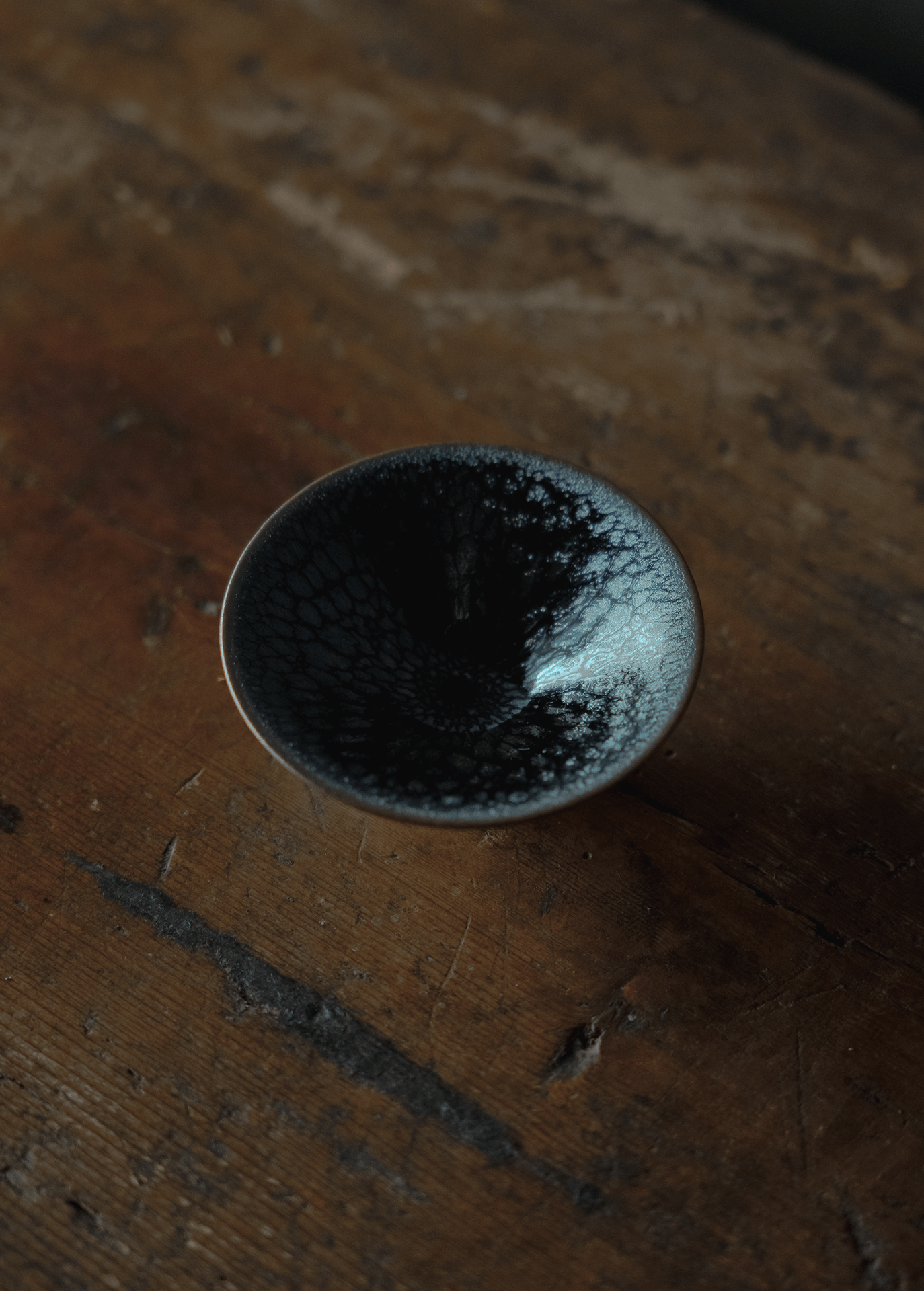 氷炎天目盃