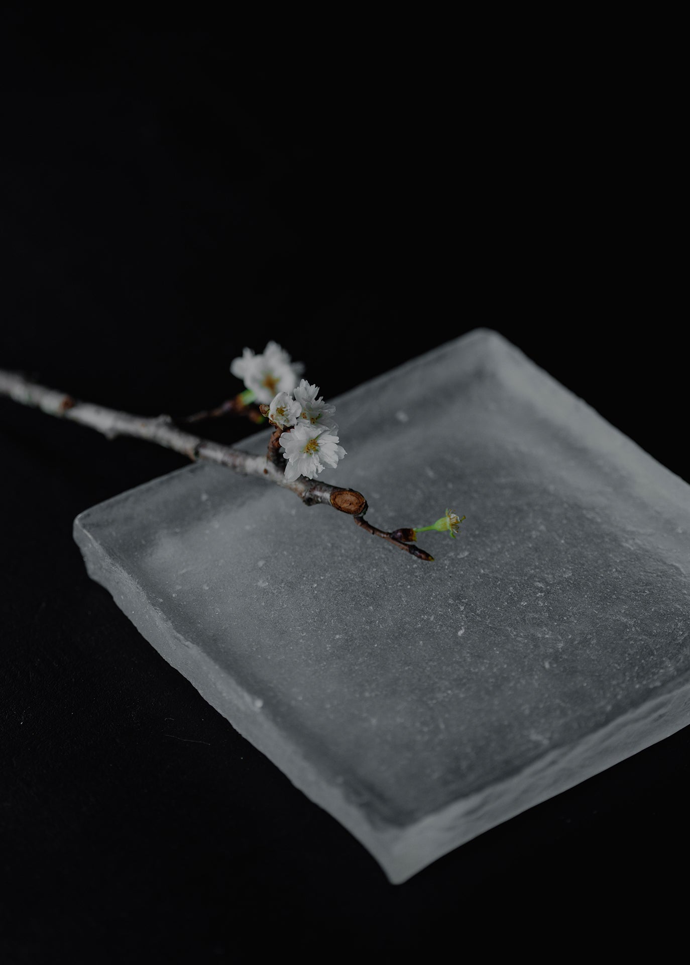 Cast Square Plate Suki 120