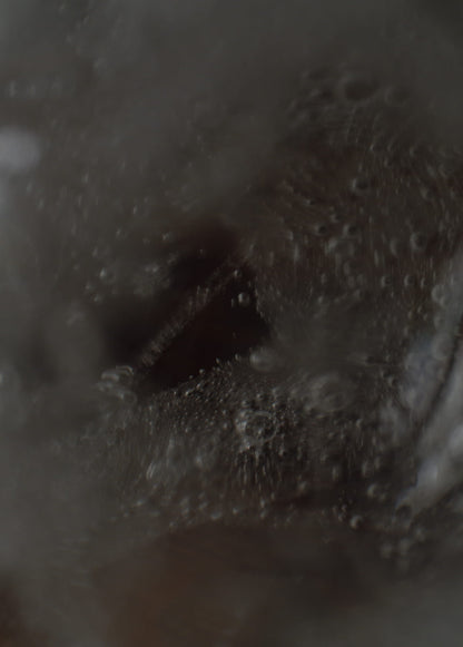 F18 Eggs