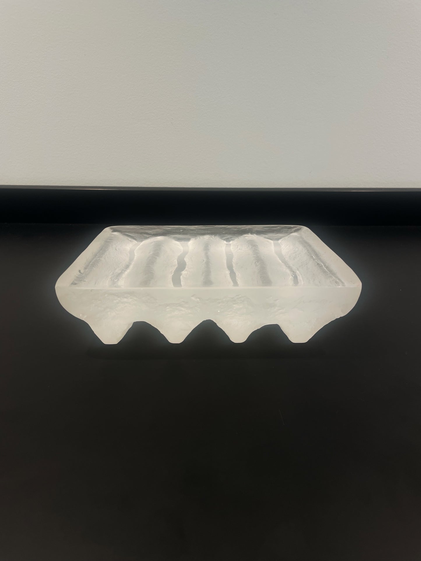 Platter Clear 2 (Jurassic Series)