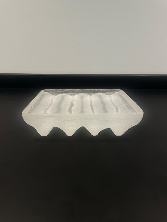 Platter Clear 2 (Jurassic Series)