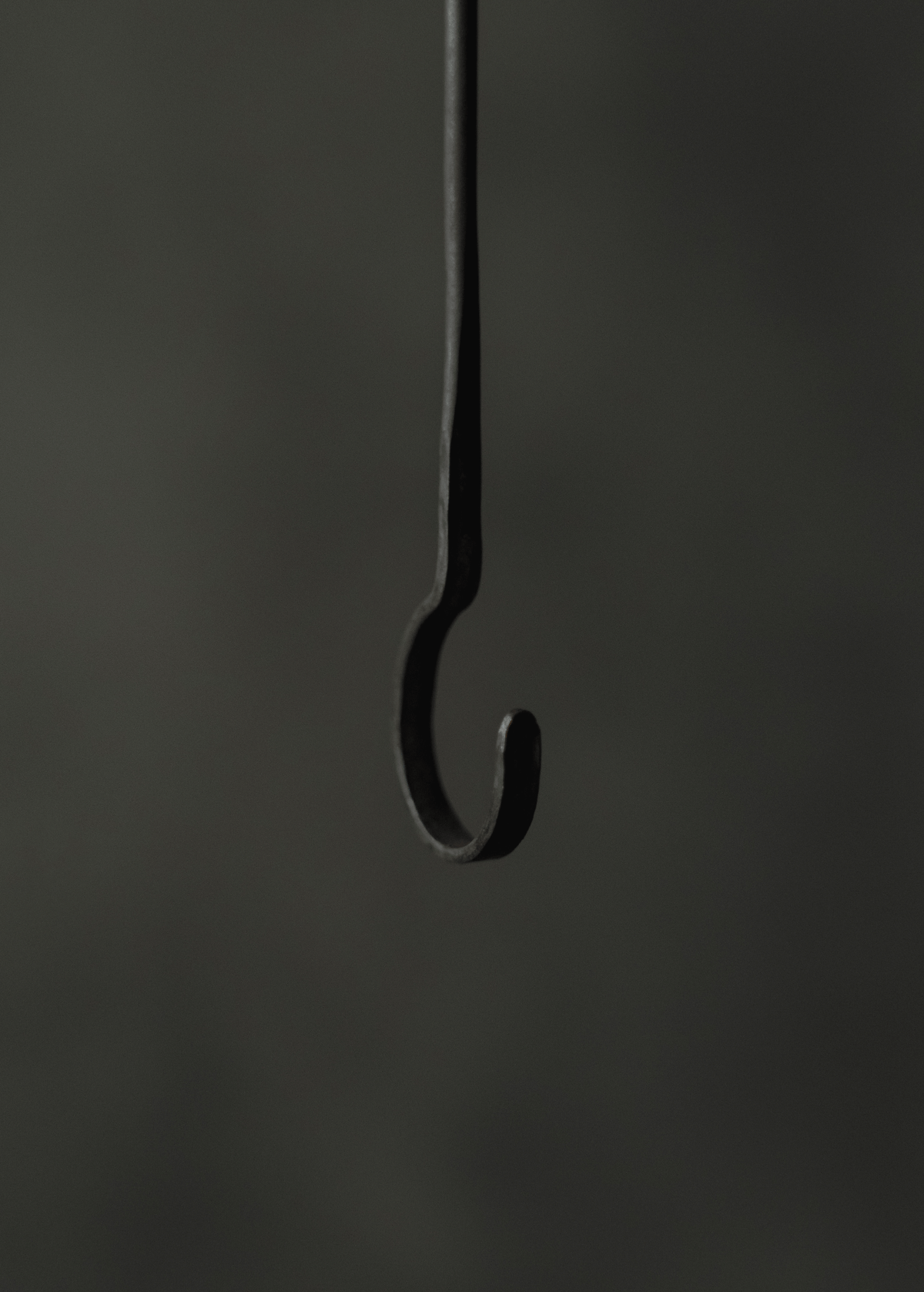 Extension hook small