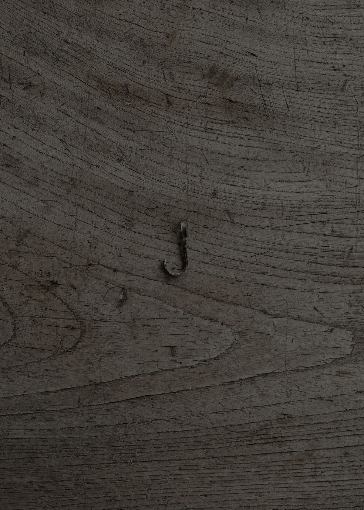 wall hook ceiling
