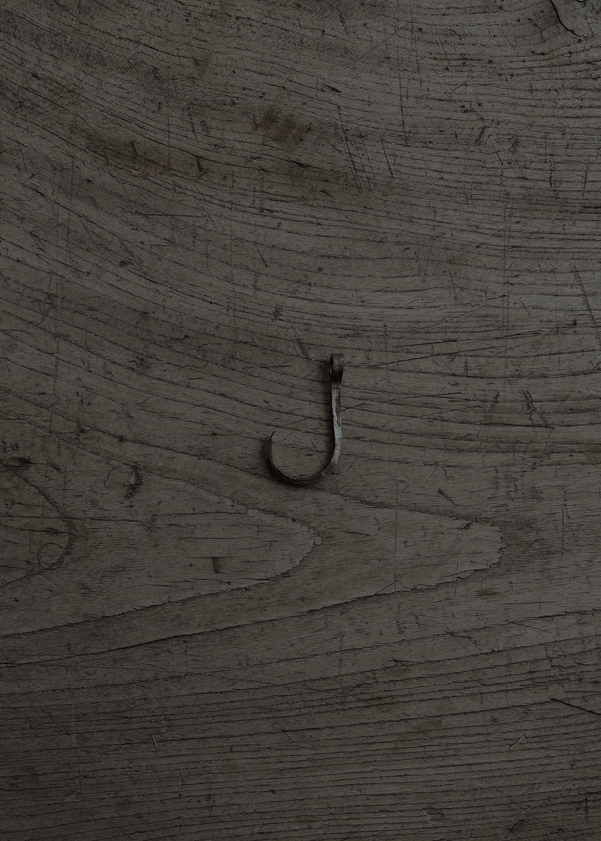 wall hook ceiling