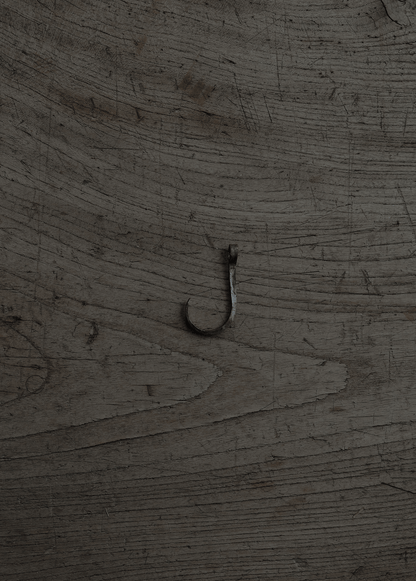 wall hook ceiling
