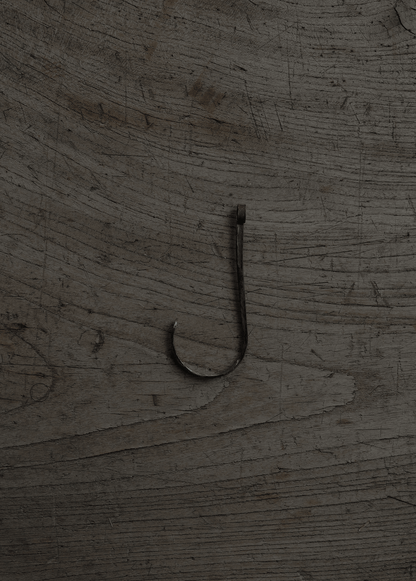 wall hook ceiling