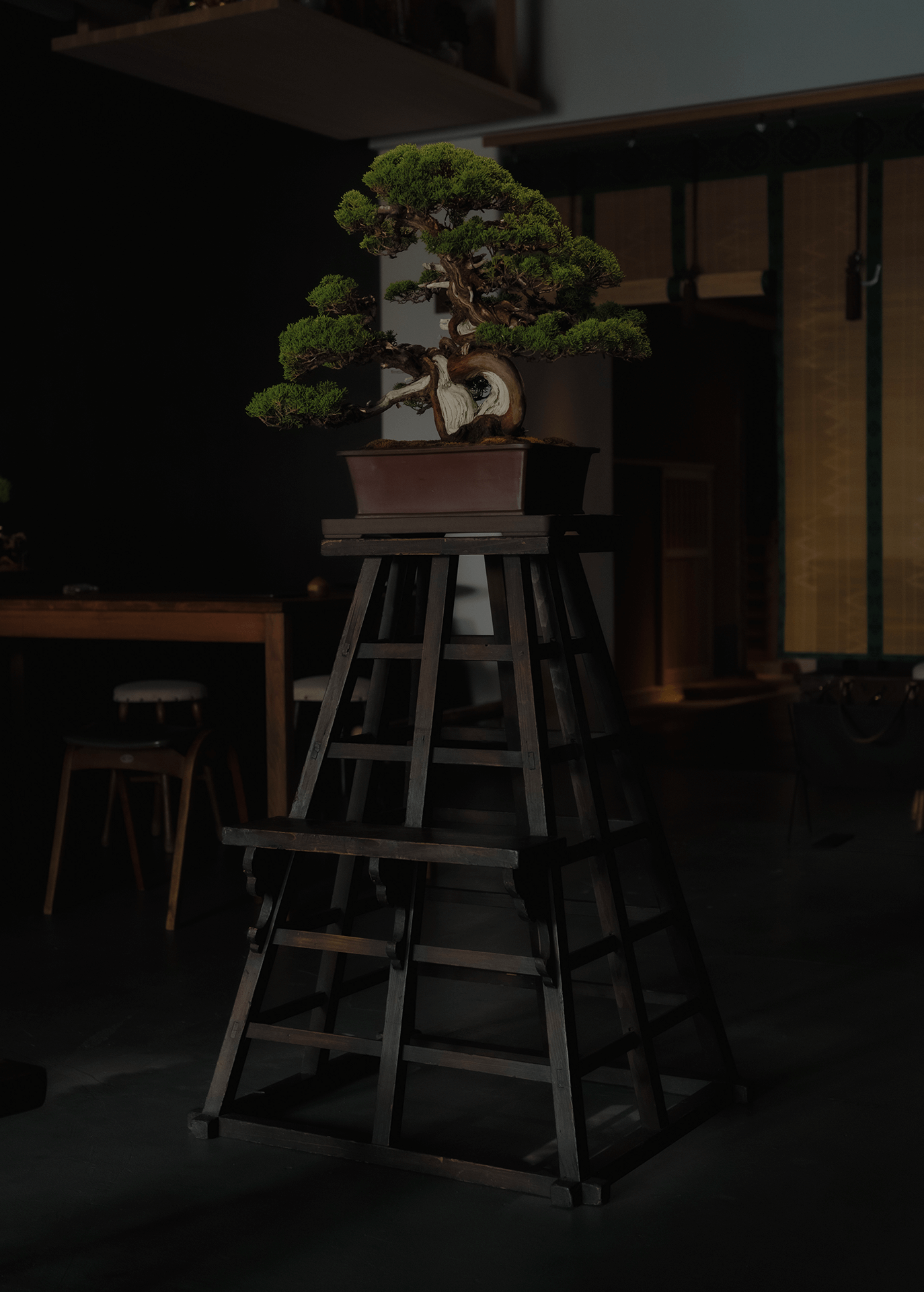 Wooden tower stepping stool