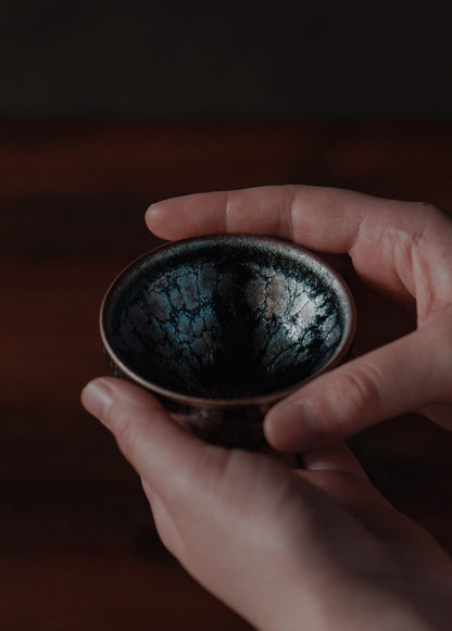 Ginyo Tenmoku Tea Bowl