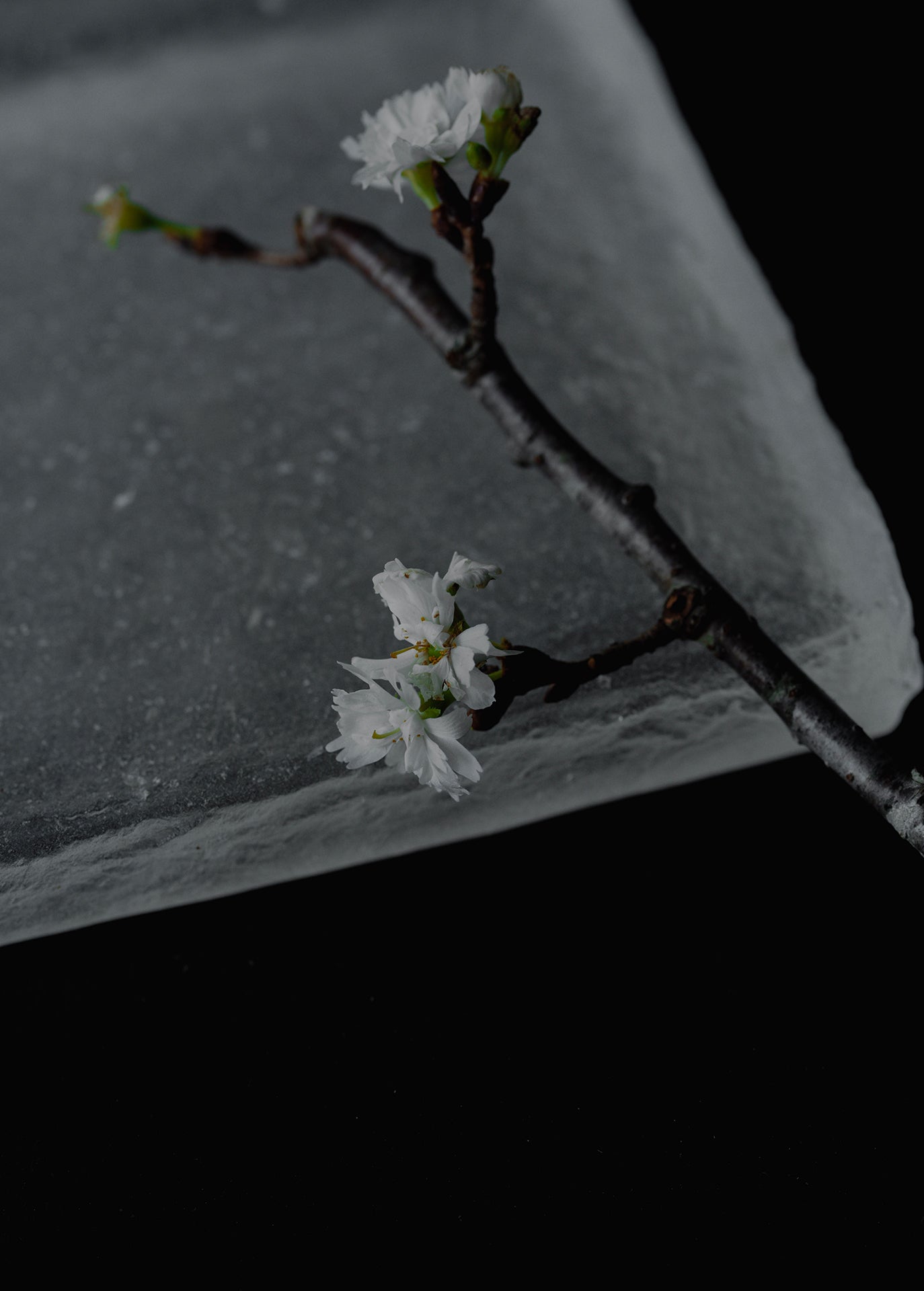 キャスト角皿 スキ 150