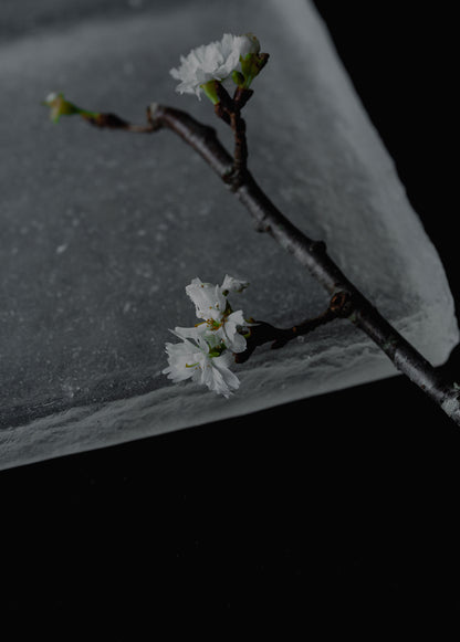 キャスト角皿 スキ 150