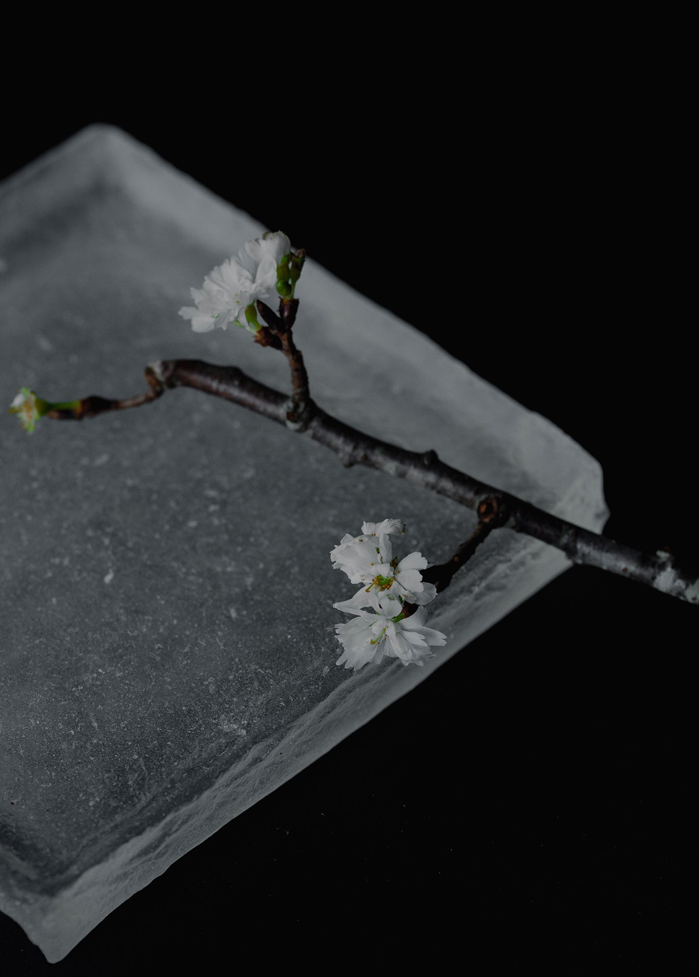 キャスト角皿 スキ 150