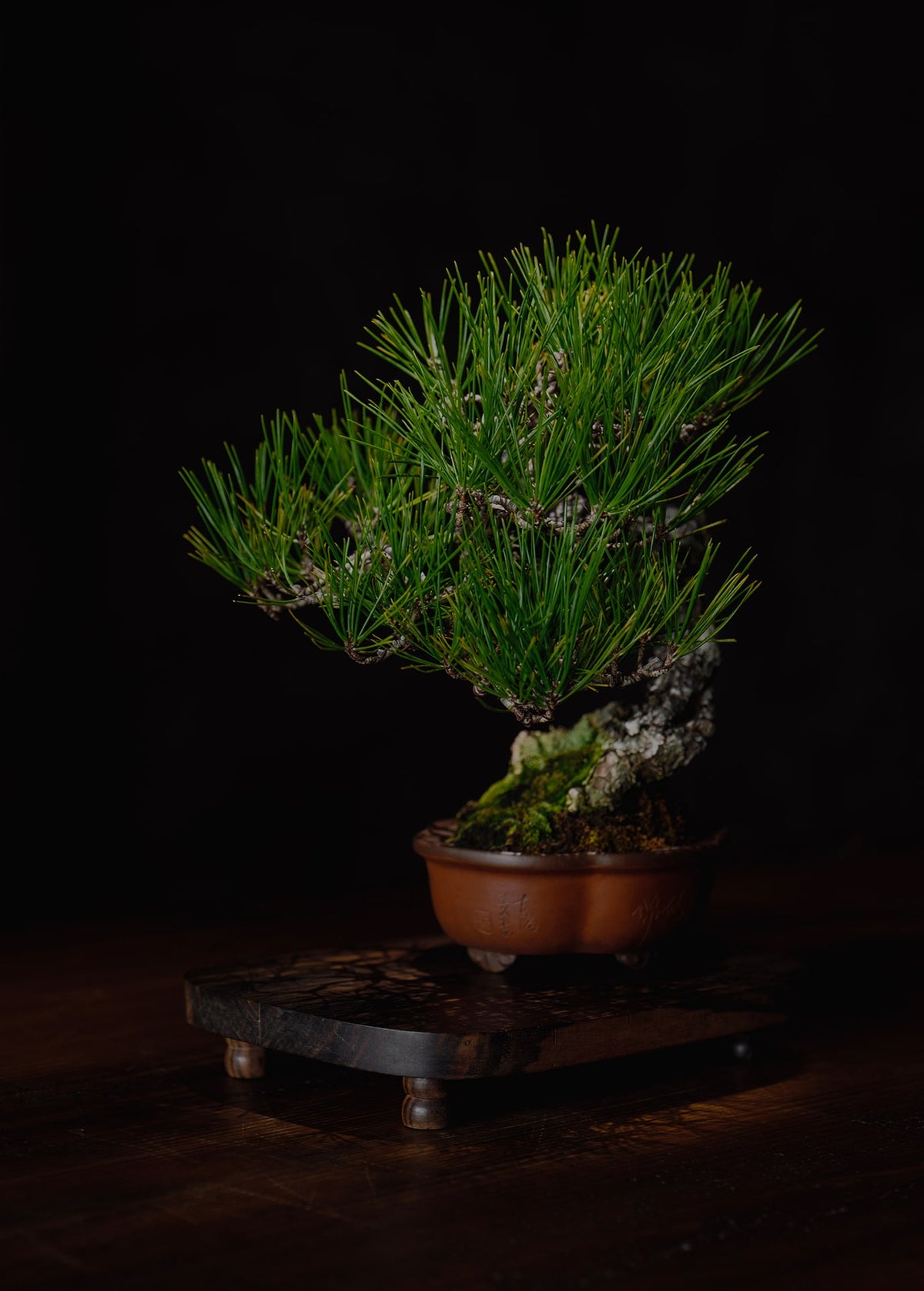 Stylish flower stand