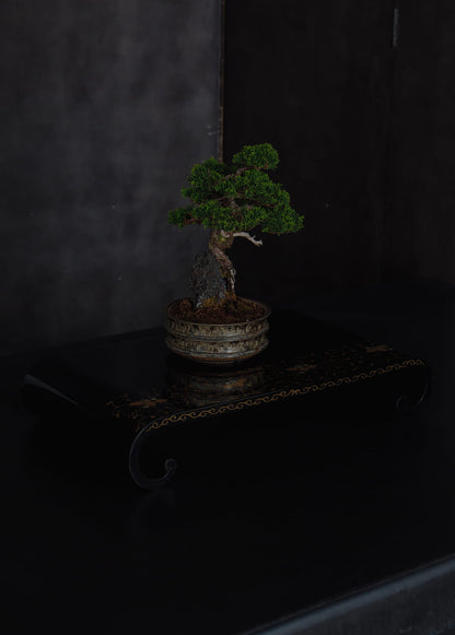 黒塗絵飾台