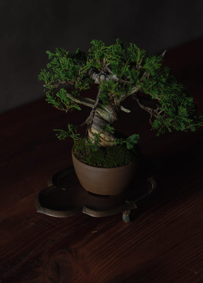 Brass Mokko-style Tripod Flower Stand