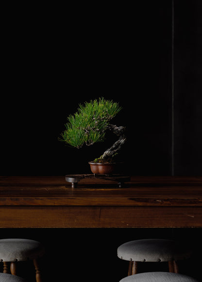 Stylish flower stand
